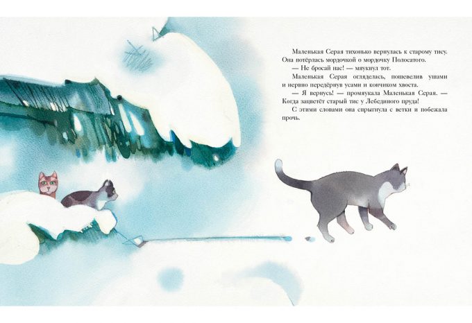 Gde_koshka_vstretit_noviy_god-12