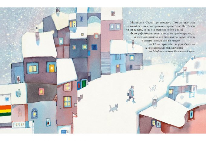 Gde_koshka_vstretit_noviy_god-13