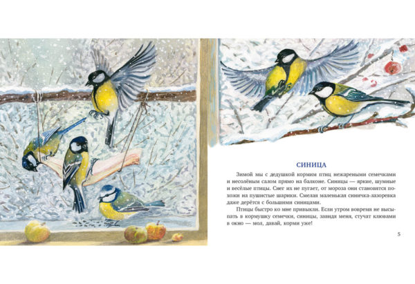 Птицы за окном_04-05