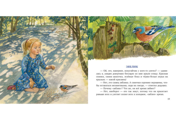 Птицы за окном_18-19