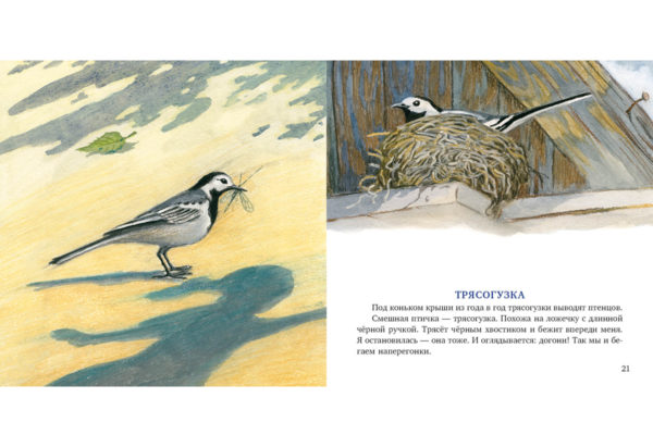 Птицы за окном_20-21