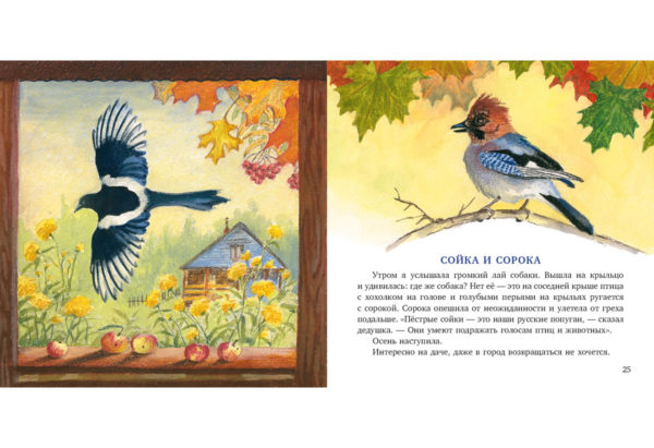 Птицы за окном_24-25